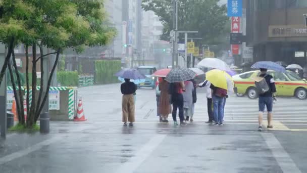 福岡県 2019年7月13日 2019年7月13日の豪雨で傘を持って街を歩く人々のタイムラプス — ストック動画