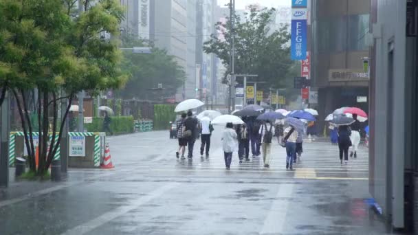 Fukuoka Japão Julho 2019 Timelapse Pessoas Atravessam Rua Segurando Seu — Vídeo de Stock