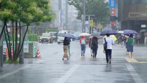 Fukuoka Japan Juli 2019 Mensen Lopen Straat Met Hun Paraplu — Stockvideo