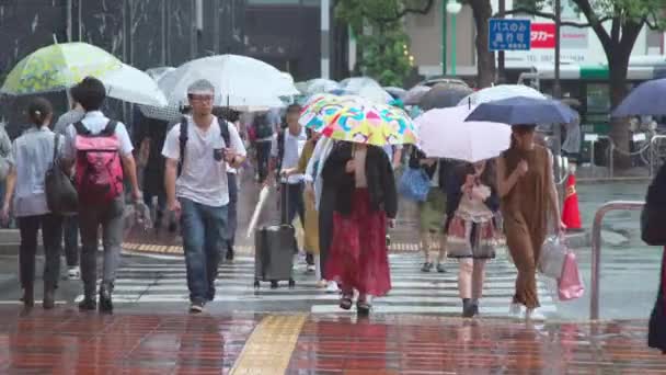 Fukuoka Japán 2019 Július Gyalogosok Esős Napokon Sétálnak Úton Fukuokában — Stock videók