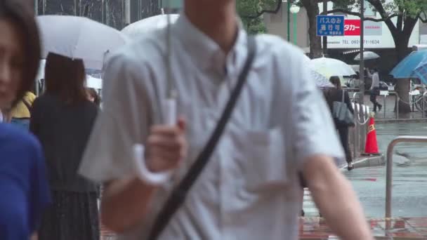 福岡市 2019年7月13日 雨の日に傘を持って街を歩く歩行者の動きが遅い — ストック動画