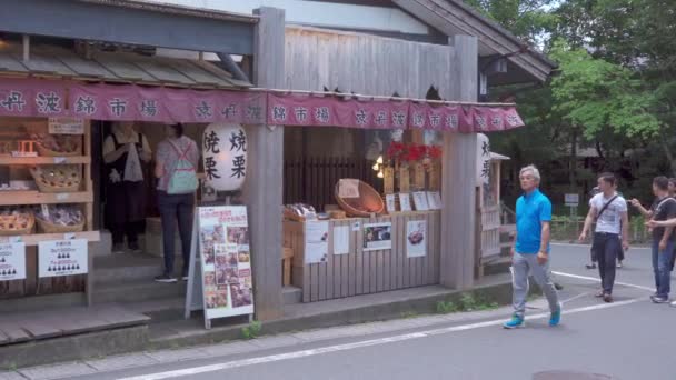 Yufuin Giappone Luglio 2019 Turisti Passeggiano Principale Dello Shopping Dello — Video Stock