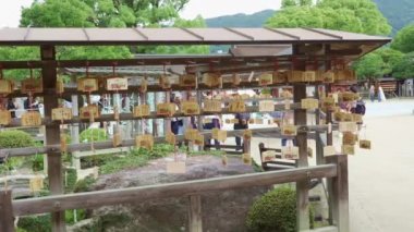 Dazaifu, Japonya - 10 Temmuz 2019 Ema, küçük ahşap dilek plaketleri, Japonya 'nın Fukuoka kentindeki Dazaifu Tenmangu' daki ünlü bir Shinto türbesine asılır.. 