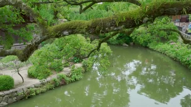 日本大泽夫 2019年7月10日 游客和当地日本民众走过美丽的红桥 通往著名的天满古神社 2019年7月10日 日本大泽夫 — 图库视频影像