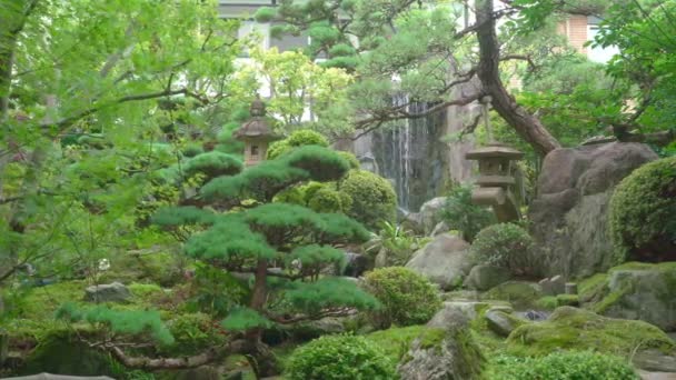 Hermoso Jardín Japonés Con Árboles Decorados Estanque Peces Koi — Vídeo de stock