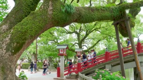日本大泽夫 2019年7月10日 游客和当地日本民众走过美丽的红桥 通往著名的天满古神社 2019年7月10日 日本大泽夫 — 图库视频影像