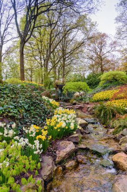 Bir su dere Hollandalı bahar Keukenhof bahçeleri, Bahar yatay