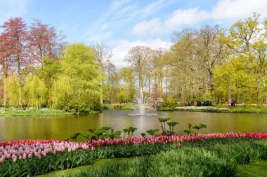 Keukenhof bahçeleri Hollanda Hollanda çiçek alanları bahar