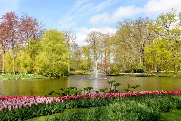 Fields in bloom in dutch spring Keukenhof Gardens in the Netherlands