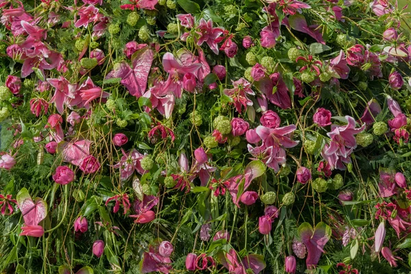 Fondo floral de flores frescas de color rojo-verde — Foto de Stock