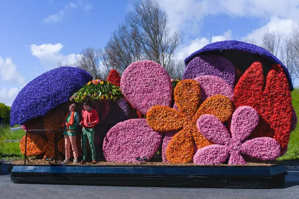 Spectacol anual colorat de flori în Olanda . — Fotografie, imagine de stoc