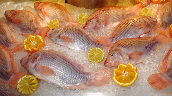 Branzino di pesce fresco del Mare del Nord, limone, arancia si trovano sul ghiaccio. Cl — Foto Stock