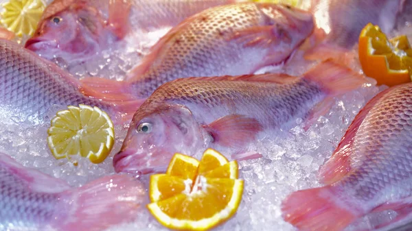 Basso di pesce fresco dal Mare del Nord, limone, arancia si trovano sul ghiaccio. Chiudere - — Foto Stock