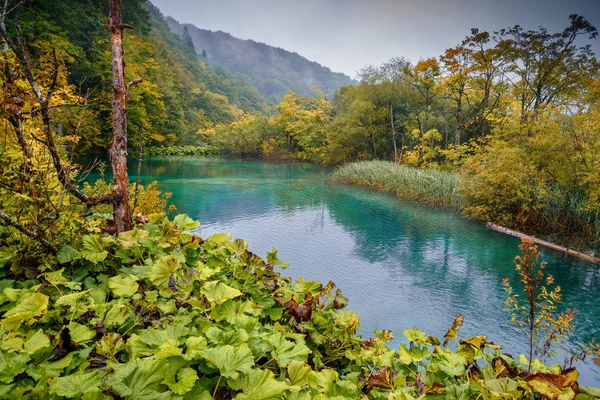 Plitvice türkisfarbenen Seen in Kroatien — Stockfoto