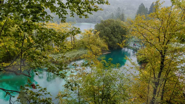 Tyrkysové Plitvická jezera v Chorvatsku — Stock fotografie