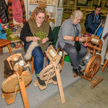 İki Bayan sanat ve el sanatları, iplik iplik Fuarı uluslararası yeşil hafta Berlin am 20.01.2016