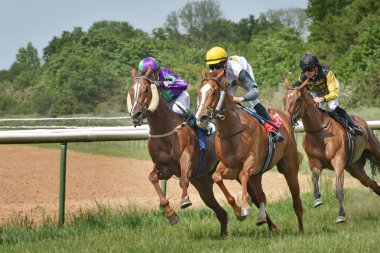 At sırtında üç jockeys. At yarışı 22 Ağustos 2015 Magdeburg, Almanya