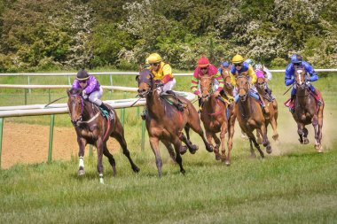Sekiz jockeys sırtında. Yarış 22 Ağustos 2015 Magdeburg, Ger