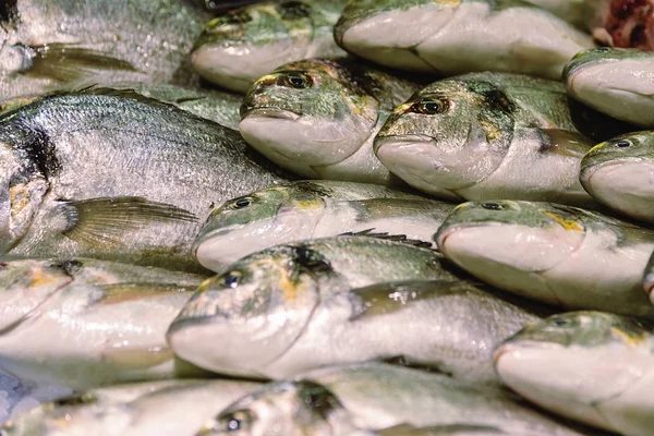 La natura morta dei pesci. Pesce fresco Orata dorata su ghiaccio — Foto Stock