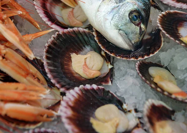 La natura morta dei pesci. Testa di Dorado, cozze in guscio sul ghiaccio. Frutti di mare freschi mix — Foto Stock