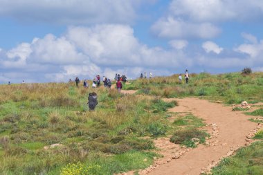 İnsanlar çayırlarda yürüyor ve Shikma Nehri Havzası 'ndaki çiçek açan Pura Doğa Koruma Alanına hayran kalıyorlar.