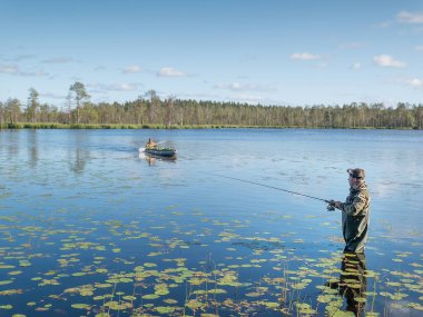 Karelia, Vodlozero - 29.07.2019: Gölde dönen genç adam. Ekoloji, kırılgan, el değmemiş, bozulmamış doğal alanları ziyaret etme. Aktif tatiller. Göl manzarası ve mavi gökyüzü