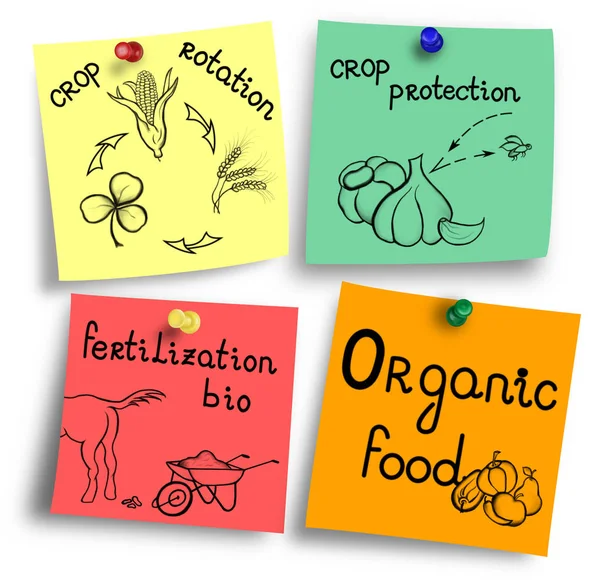 Żywności ekologicznej na najważniejsze czynniki ilustracji. — Zdjęcie stockowe