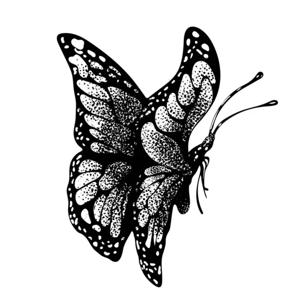 Tusche Schmetterling Handzeichnung Doodle Insektenskizze Monochrom Druck Tätowierung Bemalter Schmetterling — Stockfoto