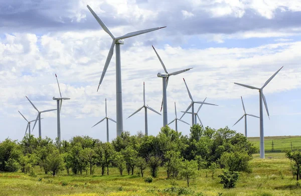 Rüzgar Jeneratörleri elektrik enerjisi üretmek için.