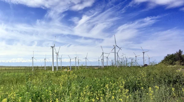 Rüzgar Jeneratörleri elektrik enerjisi üretmek için.