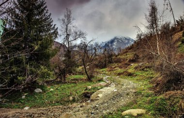 Bir dağ gorge bahar.