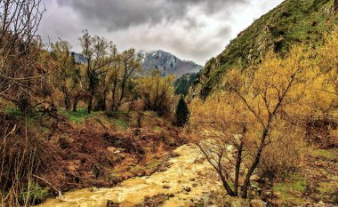 Bir dağ gorge bahar.