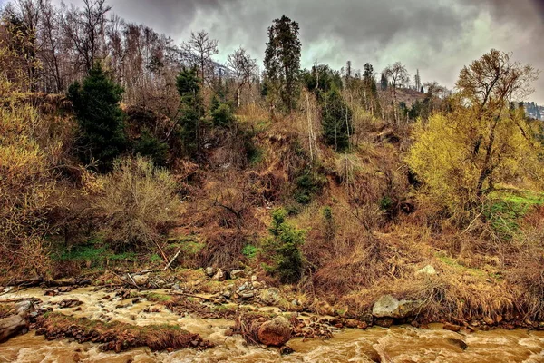 Bir dağ gorge bahar.