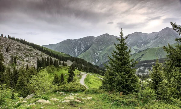 Trans-Ili Alatau Dağları.