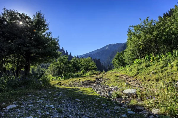 Trans-Ili Alatau Dağları.