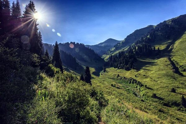 Trans-Ili Alatau Dağları.