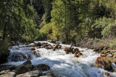 Orman ve nehir dağlarda.
