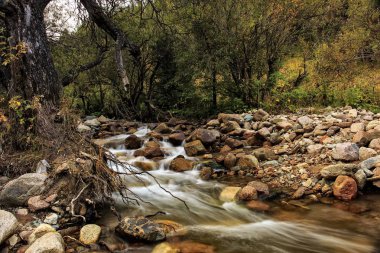 Sonbaharda dağ deresi.