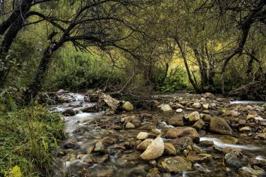 Sonbaharda dağ deresi.