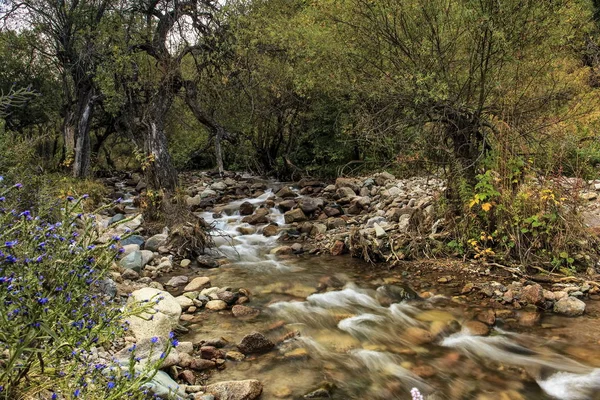 Sonbaharda dağ deresi.