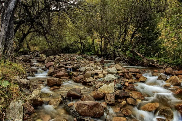 Sonbaharda dağ deresi.
