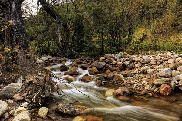 Sonbaharda dağ deresi.