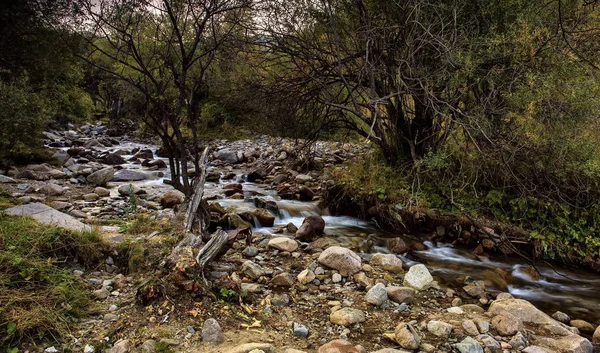 Sonbaharda dağ deresi.