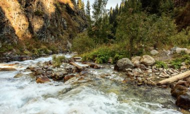 Sonbaharda dağ deresi.