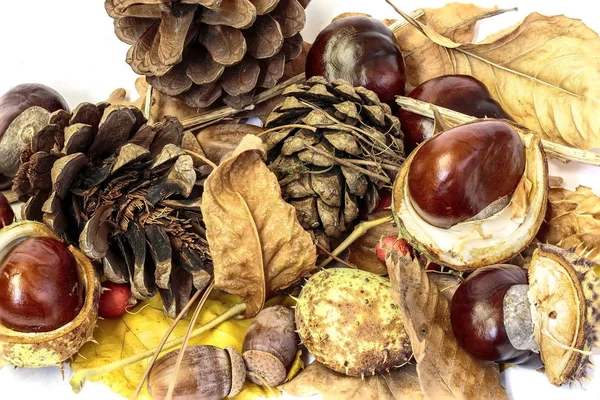 Hediyeler sonbahar Park.