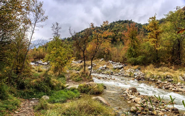 Dağlarda sonbahar ormanı.
