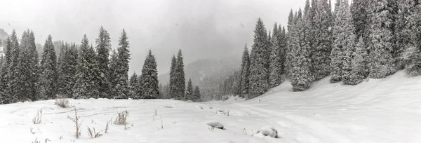 Butakovskiy gorge, dağlar Zailiysky Alatau, Kazakistan, Almaty kar yağışı.