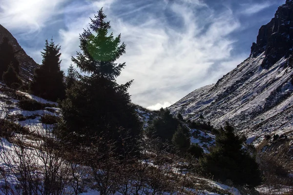 Paysage Dans Les Montagnes Automne — Photo