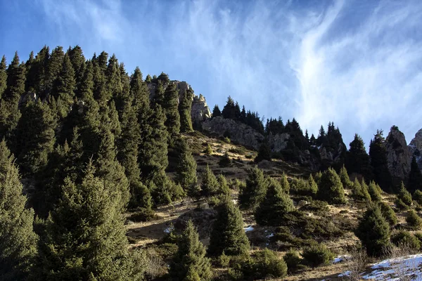 Paysage Automne Dans Les Montagnes Zailiysky Alatau — Photo