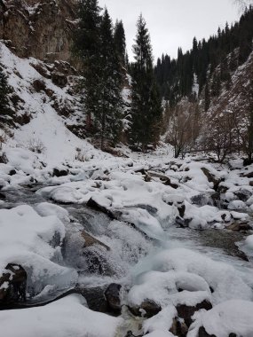 kış manzara dağ orman.